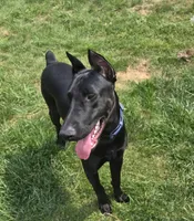 processed/8053edf0-7b80-4b88-8876-c3a61c36415e/facility/ce4d453e-92b9-4178-98ba-5217b353f916