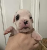 processed/80568993-491e-45e9-93f7-c61a4502f631/listing/1485cab4-dfeb-4aa4-af3b-36967b39288f/1028e16c-b513-4674-8395-568629ced336