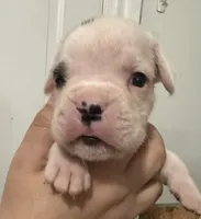 processed/80568993-491e-45e9-93f7-c61a4502f631/listing/1485cab4-dfeb-4aa4-af3b-36967b39288f/e366611a-46d4-4c5e-b6fb-a7eb78476b79