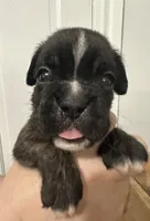 processed/80568993-491e-45e9-93f7-c61a4502f631/listing/2ea9655e-296a-48a9-abf3-b9b6ed8a4887/0a288cb2-6938-4ad3-bc57-58d52cc5d015