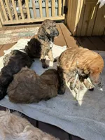 processed/805931c8-52fc-4caa-9b7e-8b874e6f56fd/facility/5e84520a-6913-4c60-b6e6-133171305240