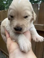 processed/805931c8-52fc-4caa-9b7e-8b874e6f56fd/facility/90715563-f144-4eb7-b960-103ac0ea7042