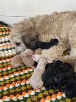 processed/805931c8-52fc-4caa-9b7e-8b874e6f56fd/facility/95c8f2dc-9ff1-444f-8102-69fb461716ae