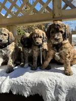 processed/805931c8-52fc-4caa-9b7e-8b874e6f56fd/facility/a5d56167-f225-4006-92ec-e77354312444