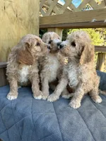 processed/805931c8-52fc-4caa-9b7e-8b874e6f56fd/facility/d714ab0c-49d0-4022-9a56-fcfa65dad968