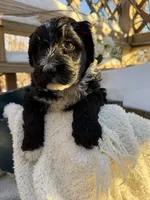 processed/805931c8-52fc-4caa-9b7e-8b874e6f56fd/listing/0accbbdd-ec01-4c3a-922e-72bc9d59047b/159e5bd8-5871-45bd-897d-2d1c199ca569