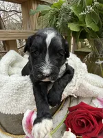 processed/805931c8-52fc-4caa-9b7e-8b874e6f56fd/listing/0accbbdd-ec01-4c3a-922e-72bc9d59047b/2bb6175b-a5cc-4443-a3fc-ff85e3105d71