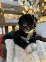 processed/805931c8-52fc-4caa-9b7e-8b874e6f56fd/listing/0accbbdd-ec01-4c3a-922e-72bc9d59047b/4cb10b7f-dff3-4199-ae9d-e53309a41134