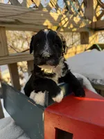 processed/805931c8-52fc-4caa-9b7e-8b874e6f56fd/listing/0accbbdd-ec01-4c3a-922e-72bc9d59047b/84aefc8b-b44d-48aa-8451-afe13c43a672