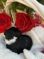 processed/805931c8-52fc-4caa-9b7e-8b874e6f56fd/listing/0accbbdd-ec01-4c3a-922e-72bc9d59047b/e4859466-7dc6-49c6-9078-8e7097d1faf5