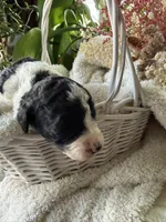 processed/805931c8-52fc-4caa-9b7e-8b874e6f56fd/listing/2a737f4b-30a5-45c8-9244-e9990adc707c/150a1738-4bd4-4032-b31e-28f62f4cd86c