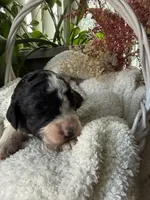 processed/805931c8-52fc-4caa-9b7e-8b874e6f56fd/listing/2a737f4b-30a5-45c8-9244-e9990adc707c/56ee5004-9441-4268-8723-0d7850d3398f