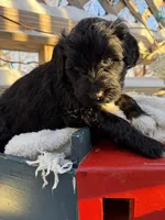 processed/805931c8-52fc-4caa-9b7e-8b874e6f56fd/listing/36b44012-1321-4f18-bacc-020f7025f4c9/08ff6629-7eec-455b-a54f-ba27e3cc7051