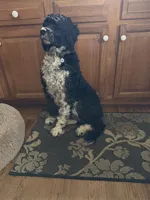 processed/805931c8-52fc-4caa-9b7e-8b874e6f56fd/listing/36b44012-1321-4f18-bacc-020f7025f4c9/3570c679-3ee9-4623-bd21-abecbd473382