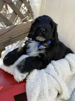 processed/805931c8-52fc-4caa-9b7e-8b874e6f56fd/listing/36b44012-1321-4f18-bacc-020f7025f4c9/776f58f6-1cb7-407f-aa15-cc26e69cb45a