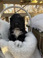 processed/805931c8-52fc-4caa-9b7e-8b874e6f56fd/listing/36b44012-1321-4f18-bacc-020f7025f4c9/7b24e7f4-dd8c-457e-82f1-5c33d6ff9459