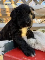 processed/805931c8-52fc-4caa-9b7e-8b874e6f56fd/listing/36b44012-1321-4f18-bacc-020f7025f4c9/c5a10e2b-a47b-426a-90be-c849ca44e6c9