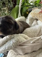 processed/805931c8-52fc-4caa-9b7e-8b874e6f56fd/listing/4d34257c-b614-47ab-a797-c1c1646053b9/4337fe17-e501-40be-9873-9dca175b5e73