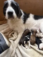 processed/805931c8-52fc-4caa-9b7e-8b874e6f56fd/listing/4d34257c-b614-47ab-a797-c1c1646053b9/7b533a2b-b007-42c2-9c87-62ffa62b3d61