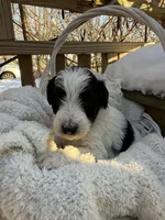 processed/805931c8-52fc-4caa-9b7e-8b874e6f56fd/listing/68ead269-db5f-4a0d-83cd-0ec3b4dd0442/47625ecd-87cf-4c28-ab9c-039a5f08d330