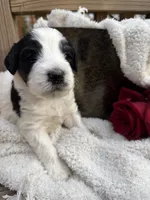 processed/805931c8-52fc-4caa-9b7e-8b874e6f56fd/listing/68ead269-db5f-4a0d-83cd-0ec3b4dd0442/a39713a6-1b1d-4014-aeae-10a0e53c4522