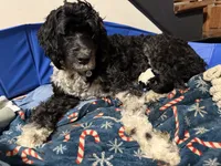 processed/805931c8-52fc-4caa-9b7e-8b874e6f56fd/listing/758afc54-0b6e-498a-8664-57547a795312/5024875f-3e3a-4d89-98cd-9774d21a10f7