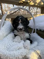 processed/805931c8-52fc-4caa-9b7e-8b874e6f56fd/listing/758afc54-0b6e-498a-8664-57547a795312/55b508c9-6ffd-47e7-b443-18eba9989255