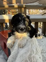 processed/805931c8-52fc-4caa-9b7e-8b874e6f56fd/listing/758afc54-0b6e-498a-8664-57547a795312/5d142354-3ec4-4a88-849f-afea5f8e6ef0