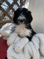 processed/805931c8-52fc-4caa-9b7e-8b874e6f56fd/listing/758afc54-0b6e-498a-8664-57547a795312/782177e2-05b8-4124-9c87-1eee0fee40c7