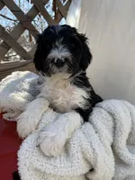 processed/805931c8-52fc-4caa-9b7e-8b874e6f56fd/listing/758afc54-0b6e-498a-8664-57547a795312/96ef0054-16ab-4365-bdc8-d6c0948d3221