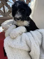 processed/805931c8-52fc-4caa-9b7e-8b874e6f56fd/listing/758afc54-0b6e-498a-8664-57547a795312/d2fb604d-9361-4837-b315-32ea36d5a79b