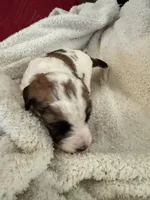 processed/805931c8-52fc-4caa-9b7e-8b874e6f56fd/listing/82a50792-0363-42b0-a6da-e148f19cb11b/1a4599f2-f691-4cf3-b544-b0db4b6ce94e