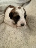 processed/805931c8-52fc-4caa-9b7e-8b874e6f56fd/listing/82a50792-0363-42b0-a6da-e148f19cb11b/7684fb97-ea33-432e-a70e-330414111bf8