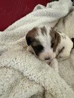 processed/805931c8-52fc-4caa-9b7e-8b874e6f56fd/listing/82a50792-0363-42b0-a6da-e148f19cb11b/b1dc8bd3-6ace-4c9d-8ee2-7684b1d4569e