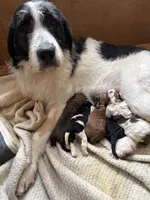 processed/805931c8-52fc-4caa-9b7e-8b874e6f56fd/listing/82a50792-0363-42b0-a6da-e148f19cb11b/bbbb0ef9-20bd-4525-802c-621c63790c17