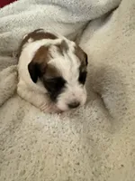 processed/805931c8-52fc-4caa-9b7e-8b874e6f56fd/listing/82a50792-0363-42b0-a6da-e148f19cb11b/c8bf94bd-d145-483a-abf0-1c1983a64e27