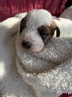 processed/805931c8-52fc-4caa-9b7e-8b874e6f56fd/listing/9620c15c-8d59-49e4-b343-4d35810b9148/3d10dc37-37ff-448f-a60c-4e5c9e7d0721