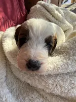 processed/805931c8-52fc-4caa-9b7e-8b874e6f56fd/listing/9620c15c-8d59-49e4-b343-4d35810b9148/763db47a-3045-4242-9217-8c7a38b6bd59