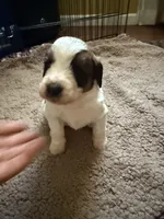 processed/805931c8-52fc-4caa-9b7e-8b874e6f56fd/listing/9620c15c-8d59-49e4-b343-4d35810b9148/dabbf1d6-f223-4bf0-bf76-ee78d3874bcb