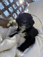 processed/805931c8-52fc-4caa-9b7e-8b874e6f56fd/listing/db1466ae-adc1-4c58-8b97-65c0c679278d/47e1a058-556d-4317-b094-8aeac7195695