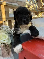 processed/805931c8-52fc-4caa-9b7e-8b874e6f56fd/listing/db1466ae-adc1-4c58-8b97-65c0c679278d/5df7854d-0efb-4c09-80c6-a72a0c9c9485