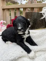 processed/805931c8-52fc-4caa-9b7e-8b874e6f56fd/listing/db1466ae-adc1-4c58-8b97-65c0c679278d/6a9bb829-3cc1-429d-afb8-8f9b34e9cc65