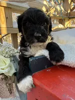 processed/805931c8-52fc-4caa-9b7e-8b874e6f56fd/listing/db1466ae-adc1-4c58-8b97-65c0c679278d/6ca5e3b9-3ec1-42ed-84e8-7ff329695e8b