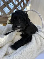 processed/805931c8-52fc-4caa-9b7e-8b874e6f56fd/listing/db1466ae-adc1-4c58-8b97-65c0c679278d/706723b4-8391-4a88-89c0-a6d09f40e917