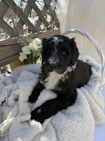 processed/805931c8-52fc-4caa-9b7e-8b874e6f56fd/listing/db1466ae-adc1-4c58-8b97-65c0c679278d/9ac4230f-c156-4844-809a-6b600f2f5b5d