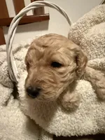 processed/805931c8-52fc-4caa-9b7e-8b874e6f56fd/listing/db362e2e-9e2f-4581-b8b8-4e13ba5b4aea/300a49f5-88e7-4d33-b0ca-0a983ef16133