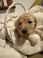 processed/805931c8-52fc-4caa-9b7e-8b874e6f56fd/listing/db362e2e-9e2f-4581-b8b8-4e13ba5b4aea/513cf08e-1f1e-4c53-a286-eb71337fe4de