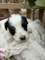 processed/805931c8-52fc-4caa-9b7e-8b874e6f56fd/listing/f560f3c2-1b9c-4458-9b75-6a0105734cff/728681f4-102c-41c0-812c-ed5b382d8120