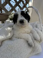 processed/805931c8-52fc-4caa-9b7e-8b874e6f56fd/listing/f560f3c2-1b9c-4458-9b75-6a0105734cff/95d531ad-5dad-40f0-99c8-ea3566ef7e0b