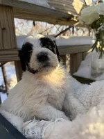 processed/805931c8-52fc-4caa-9b7e-8b874e6f56fd/listing/f560f3c2-1b9c-4458-9b75-6a0105734cff/f9d17cfe-62f0-45b3-8a36-13ba798ca371